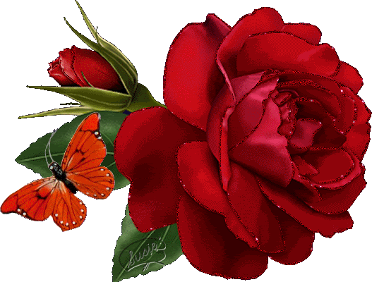 Rosas Amor Dibujadas